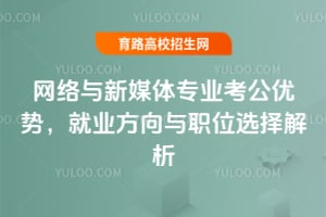 网络与新媒体专业考公优势,就业方向与职位选择解析