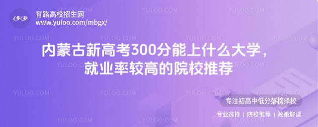 內蒙古新高考300分能上什么大學
