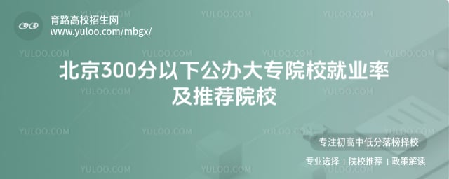 北京300分以下公办大专院校
