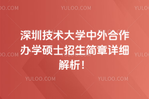 深圳技術(shù)大學(xué)中外合作辦學(xué)碩士招生簡章詳細(xì)解析！