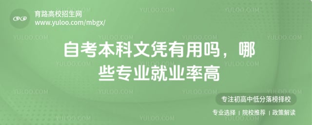 自考本科文凭有用吗