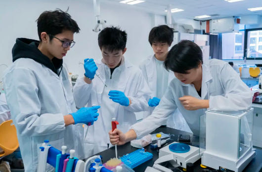 朝陽凱文STEM研究中心2025年度學術成果發布