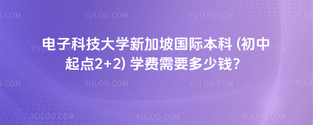 电子科技大学国际本科学费