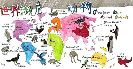 北京海淀区尚丽外国语学校环保活动