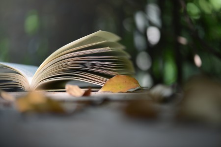 北京市新英才学校高考留学双轨制课程