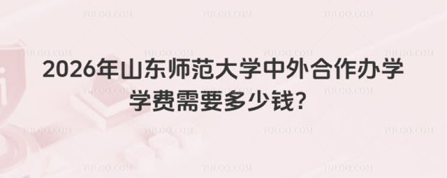 山东师范大学中外合作办学学费