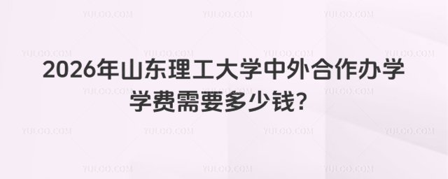 山东理工大学中外合作办学学费
