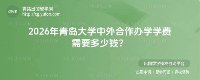 青岛大学中外合作办学学费