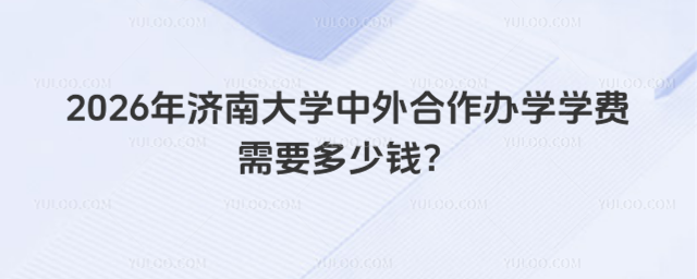 济南大学中外合作办学学费