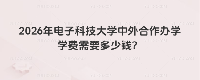 电子科技大学中外合作办学学费