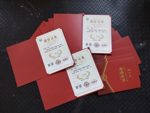 張家口未來學校學子獲獎