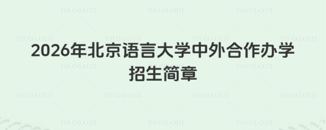 北京语言大学中外合作办学招生简章