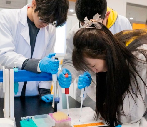 北京朝陽區凱文學校開放日預約