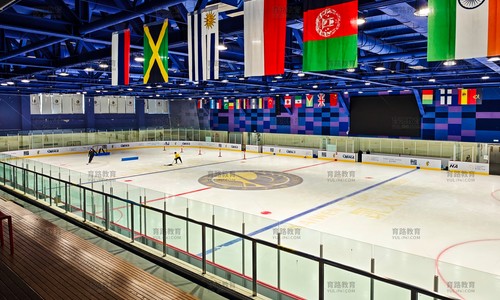 北京朝陽區凱文學校探校