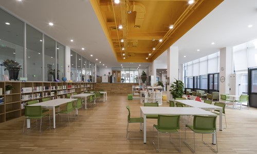 北京朝陽區凱文學校探校