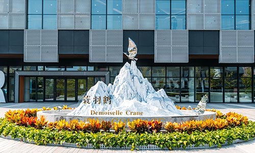 北京朝陽區凱文學校探校