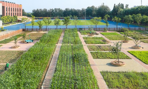 北京朝陽區凱文學校探校