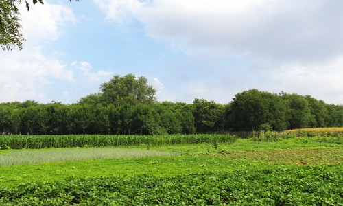 北京市博文学校劳动教育基地