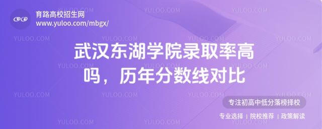 武漢東湖學院錄取率高嗎