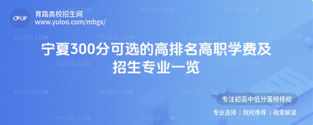 寧夏300分可選的高排名高職