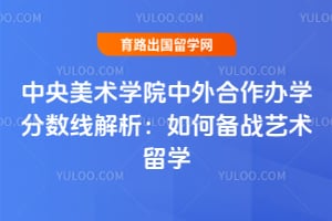 中央美术学院中外合作办学分数线解析:如何备战艺术留学