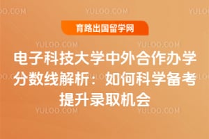 电子科技大学中外合作办学分数线解析：如何科学备考提升录取机会