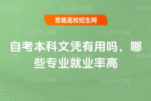 自考本科文憑有用嗎?哪些專業(yè)就業(yè)率高