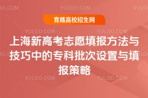 上海新高考志愿填報方法與技巧中的專科批次設(shè)置與填報策略