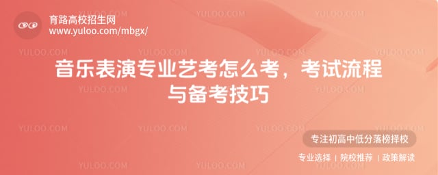 音樂表演專業(yè)藝考怎么考