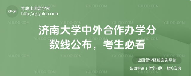 济南大学中外合作办学分数线