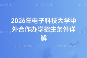 2026年电子科技大学中外合作办学招生条件详解