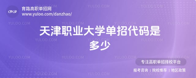 天津职业大学单招代码