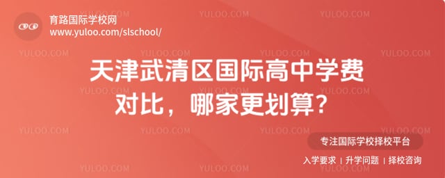 天津武清区国际高中学费