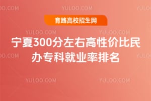 寧夏300分左右高性價比民辦專科就業(yè)率排名