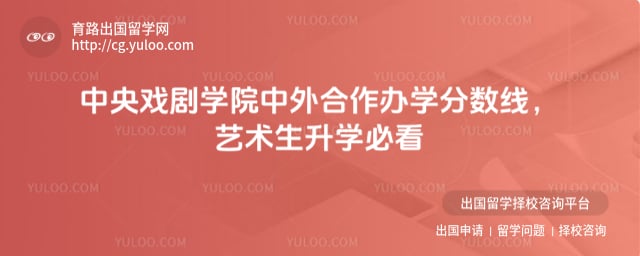 中央戏剧学院中外合作办学分数线