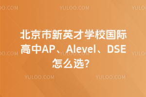 北京市新英才學校國際高中AP、Alevel、DSE怎么選？