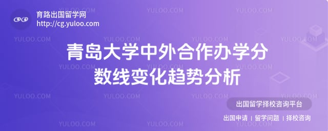 青岛大学中外合作办学分数线