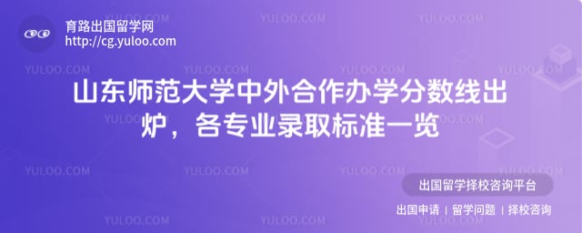 山东师范大学中外合作办学分数线