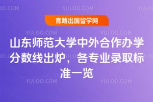 2025年山东师范大学中外合作办学分数线出炉，各专业录取标准一览