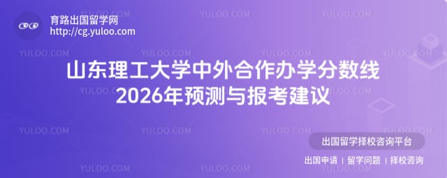 山东理工大学中外合作办学分数线