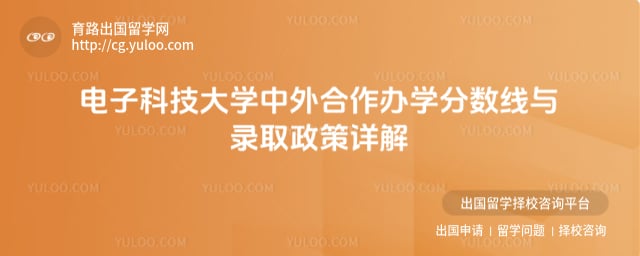 电子科技大学中外合作办学分数线