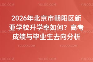 2026年北京市朝陽(yáng)區(qū)新亞學(xué)校升學(xué)率如何？高考成績(jī)與畢業(yè)生去向分析
