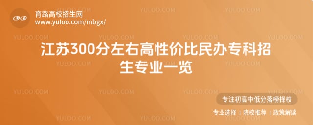 江蘇300分左右高性價比民辦專科