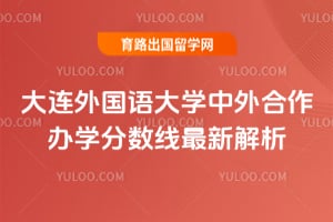 大连外国语大学中外合作办学分数线2025年最新解析