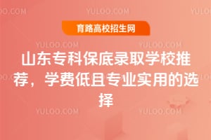 山東專科保底錄取學校推薦,學費低且專業實用的選擇