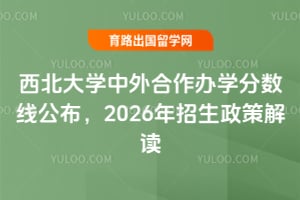 西北大学中外合作办学分数线公布,2026年招生政策解读