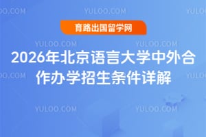 2026年北京语言大学中外合作办学招生条件详解