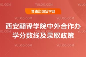 2025年西安翻译学院中外合作办学分数线及录取政策