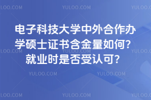 电子科技大学中外合作办学硕士证书含金量如何？就业时是否受认可？