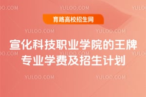 �����Ƽ�ְҵѧԺ������רҵѧ�Ѽ������ƻ�